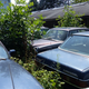 Illustration for article titled A Michigan Town Is Forcing This Man To Sell 20 Old Cars Off His Property Every Month